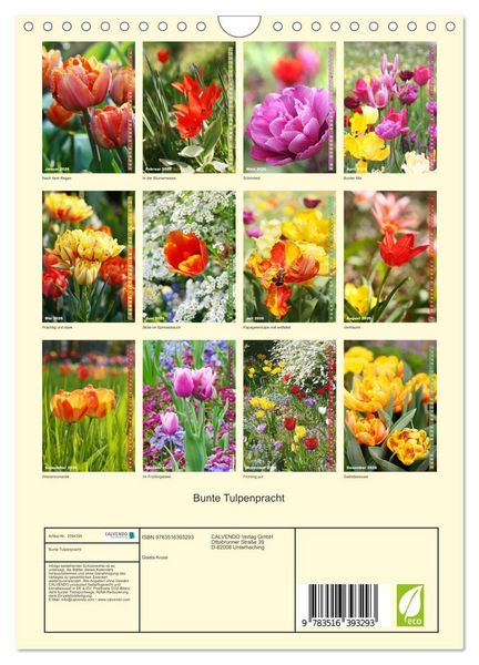 Produktbild: Bunte Tulpenpracht (Wandkalender 2026 DIN A4 hoch), CALVENDO Monatskalender