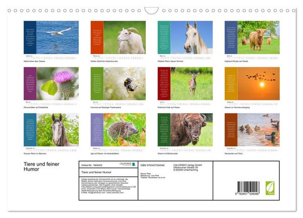 Produktbild: Tiere und feiner Humor (Wandkalender 2026 DIN A3 quer), CALVENDO Monatskalender