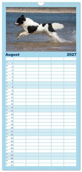 Produktbild: Familienplaner 2027 - Landseer - Das Wasser ist ihr Element mit 5 Spalten (Wandkalender, 21 x 45 cm) CALVENDO