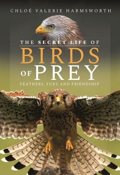 Produktbild: The Secret Life of Birds of Prey