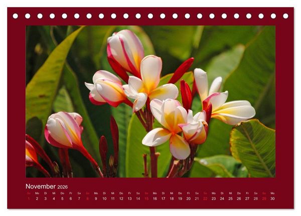 Produktbild: Aloha Bl&uuml;tenzauber aus Hawaii (Tischkalender 2026 DIN A5 quer), CALVENDO Monatskalender