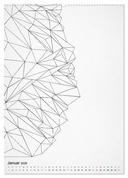 Produktbild: Geometric Graphik Art (Wandkalender 2026 DIN A2 hoch), CALVENDO Monatskalender