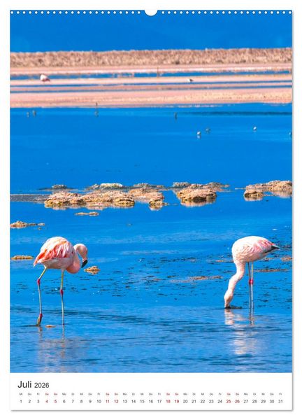 Produktbild: Chile - Ein unentdecktes Paradies. (Wandkalender 2026 DIN A2 hoch), CALVENDO Monatskalender