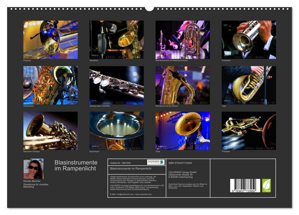 Produktbild: Blasinstrumente im Rampenlicht (hochwertiger Premium Wandkalender 2026 DIN A2 quer), Kunstdruck in Hochglanz