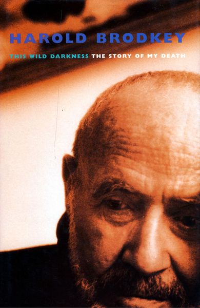 Produktbild: This Wild Darkness