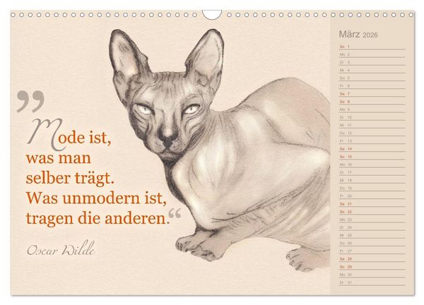 Produktbild: Von Katzen lernen (Wandkalender 2026 DIN A3 quer), CALVENDO Monatskalender