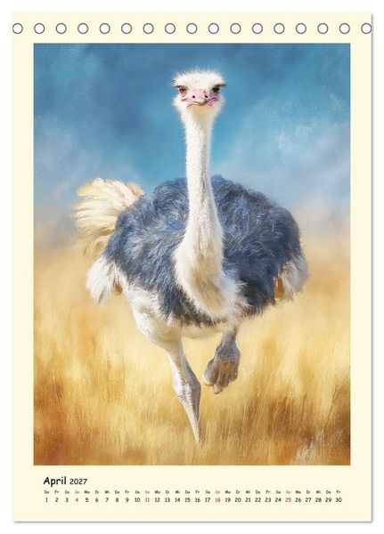 Produktbild: Strau&szlig;e. Afrikas gro&szlig;e Laufv&ouml;gel in Aquarelloptik (Tischkalender 2027 DIN A5 hoch), CALVENDO Monatskalender