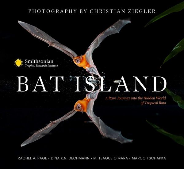 Produktbild: Bat Island