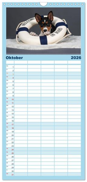 Produktbild: Familienplaner 2026 - Basenji-Sch&ouml;nheiten mit 5 Spalten (Wandkalender, 21 x 45 cm) CALVENDO