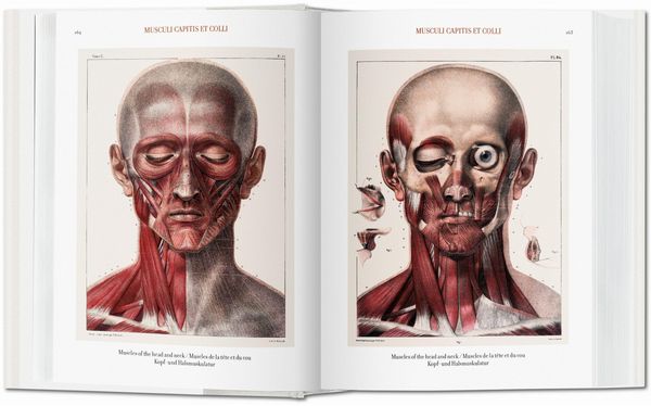 Produktbild: Bourgery