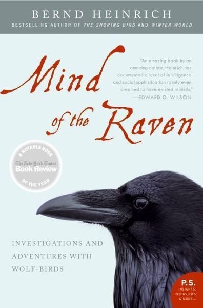 Produktbild: Mind of the Raven