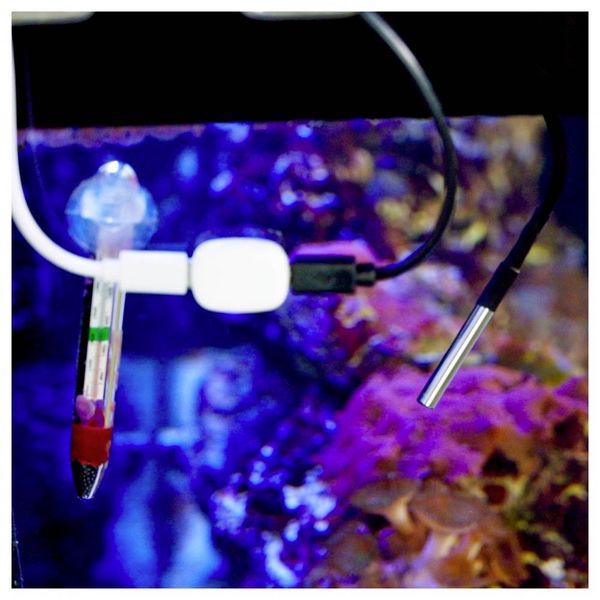 Produktbild: Shelly Temperatursensor DS18B20 3,5&nbsp;mm Jack 1m Kabel Temperatursensor