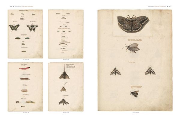 Produktbild: Conrad Gessners Thierbuch