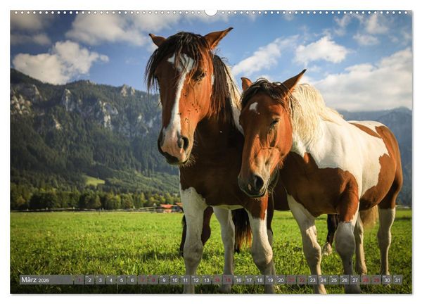 Produktbild: Ostallg&auml;u - Zwischen Aggenstein und Forggensee (hochwertiger Premium Wandkalender 2026 DIN A2 quer), Kunstdruck in Hochglanz