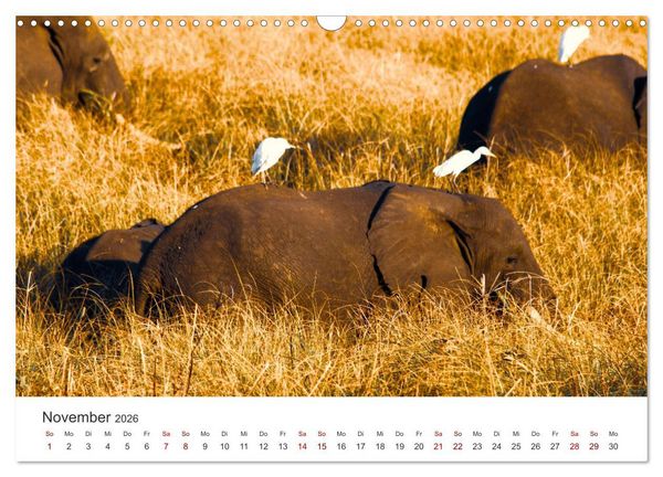 Produktbild: Mosambik - Eine Perle im S&uuml;den Afrikas. (Wandkalender 2026 DIN A3 quer), CALVENDO Monatskalender