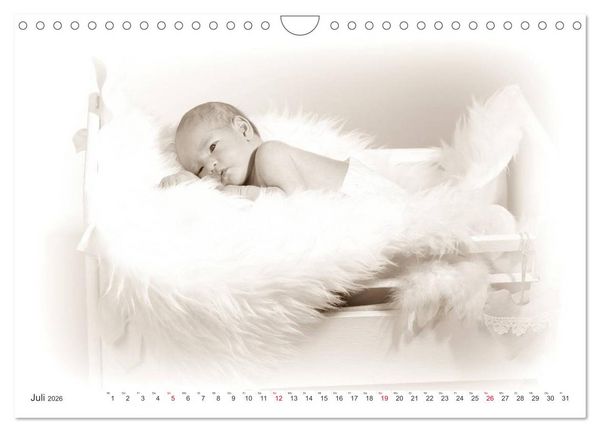 Produktbild: Babys - Willkommen im Leben (Wandkalender 2026 DIN A4 quer), CALVENDO Monatskalender