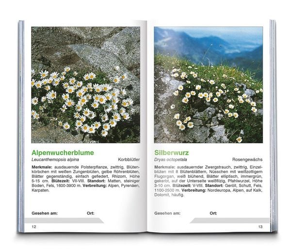 Produktbild: Alpenblumen