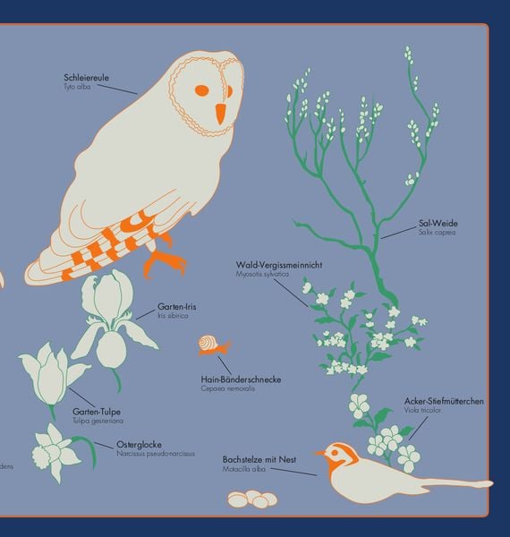 Produktbild: Kleine Vogel-Wunderkammer