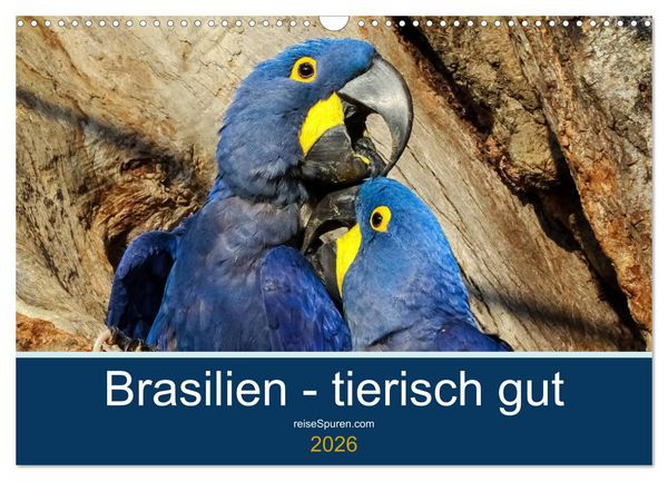 Produktbild: Brasilien tierisch gut 2026 (Wandkalender 2026 DIN A3 quer), CALVENDO Monatskalender