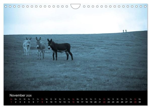 Produktbild: Wheels (Wandkalender 2026 DIN A4 quer), CALVENDO Monatskalender