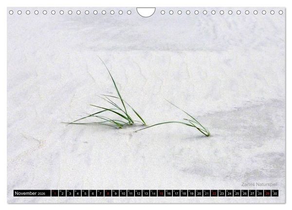 Produktbild: T&ouml;werland Juist (Wandkalender 2026 DIN A4 quer), CALVENDO Monatskalender
