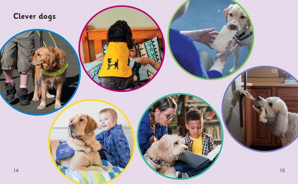 Produktbild: Dogs that Help