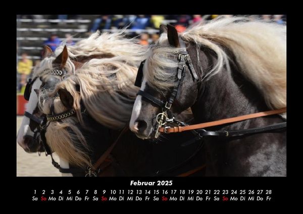 Produktbild: Die Welt der Pferde 2025 Fotokalender DIN A3