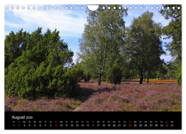 Produktbild: L&uuml;neburg und die L&uuml;neburger Heide (Wandkalender 2026 DIN A4 quer), CALVENDO Monatskalender