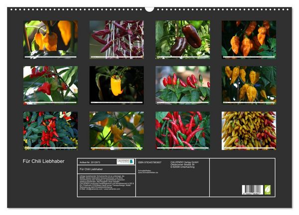 Produktbild: F&uuml;r Chili Liebhaber (Wandkalender 2026 DIN A2 quer), CALVENDO Monatskalender