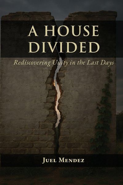 Produktbild: A House Divided