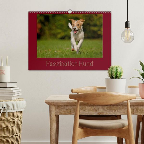 Produktbild: Faszination Hund (Wandkalender 2026 DIN A3 quer), CALVENDO Monatskalender