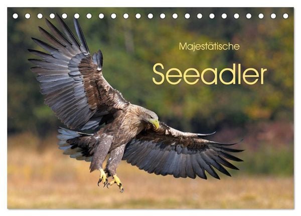 Majestätische Seeadler (Tischkalender 2026 DIN A5 quer), CALVENDO Monatskalender