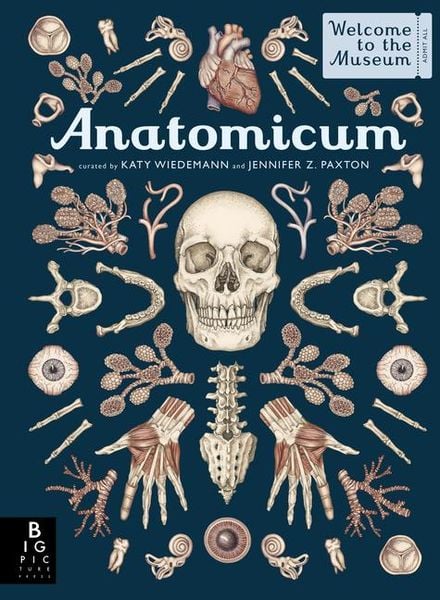 Produktbild: Anatomicum