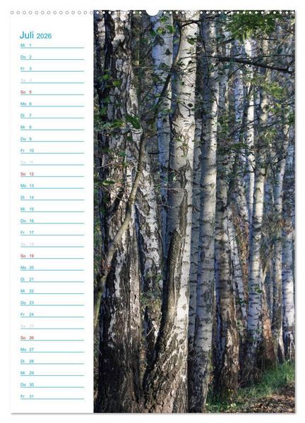 Produktbild: Wunderbarer Spreewald (Wandkalender 2026 DIN A2 hoch), CALVENDO Monatskalender