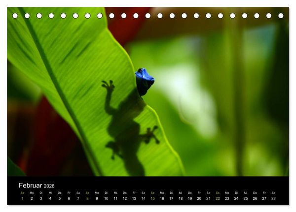 Produktbild: Reptilien (Tischkalender 2026 DIN A5 quer), CALVENDO Monatskalender