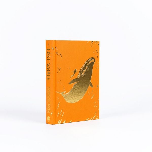 Produktbild: The Lost Whale