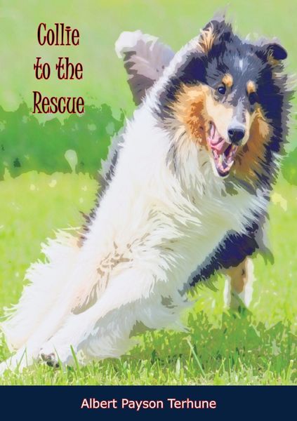 Produktbild: Collie to the Rescue