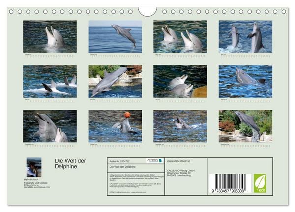 Produktbild: Die Welt der Delphine (Wandkalender 2026 DIN A4 quer), CALVENDO Monatskalender