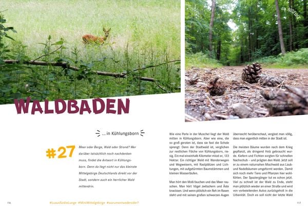 Produktbild: 52 kleine & gro&szlig;e Eskapaden in Mecklenburg-Vorpommern an der Ostsee