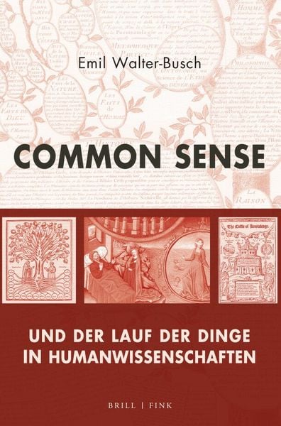 Produktbild: Common Sense und der Lauf der Dinge in Humanwissenschaften