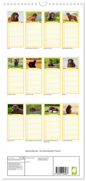 Produktbild: Familienplaner 2026 - Neufundl&auml;nder - Ein b&auml;renstarker Freund mit 5 Spalten (Wandkalender, 21 x 45 cm) CALVENDO