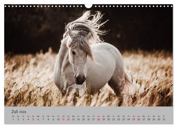 Produktbild: Spiegel deiner Seele (Wandkalender 2026 DIN A3 quer), CALVENDO Monatskalender