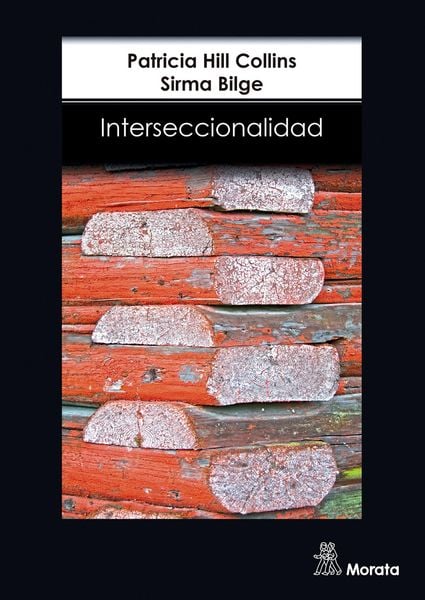 Produktbild: Interseccionalidad