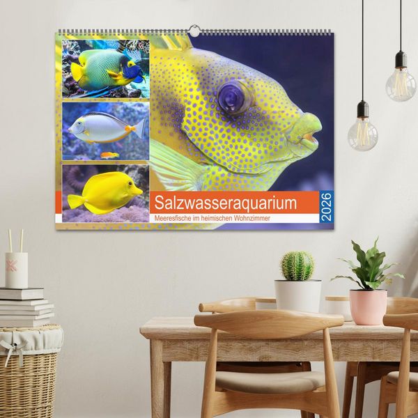 Produktbild: Salzwasseraquarium. Meeresfische im heimischen Wohnzimmer (Wandkalender 2026 DIN A2 quer), CALVENDO Monatskalender