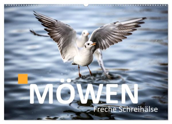 MÖWEN Freche Schreihälse (Wandkalender 2025 DIN A2 quer), CALVENDO Monatskalender