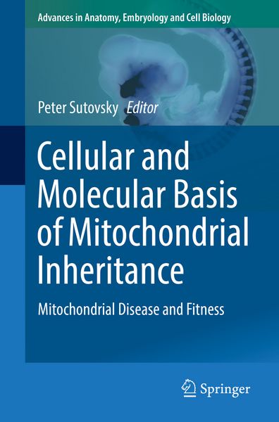 Produktbild: Cellular and Molecular Basis of Mitochondrial Inheritance