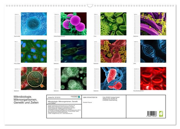 Produktbild: Mikrobiologie. Mikroorganismen, Genetik und Zellen (Wandkalender 2026 DIN A2 quer), CALVENDO Monatskalender