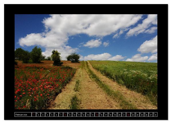 Produktbild: Roter Mohn, bunte Wiesen (Wandkalender 2026 DIN A4 quer), CALVENDO Monatskalender