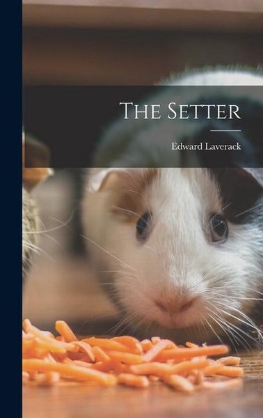 Produktbild: The Setter