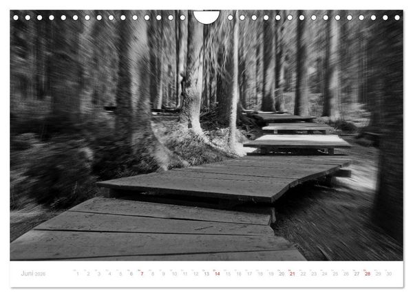 Produktbild: Mystischer Schwarzwald (Wandkalender 2026 DIN A4 quer), CALVENDO Monatskalender
